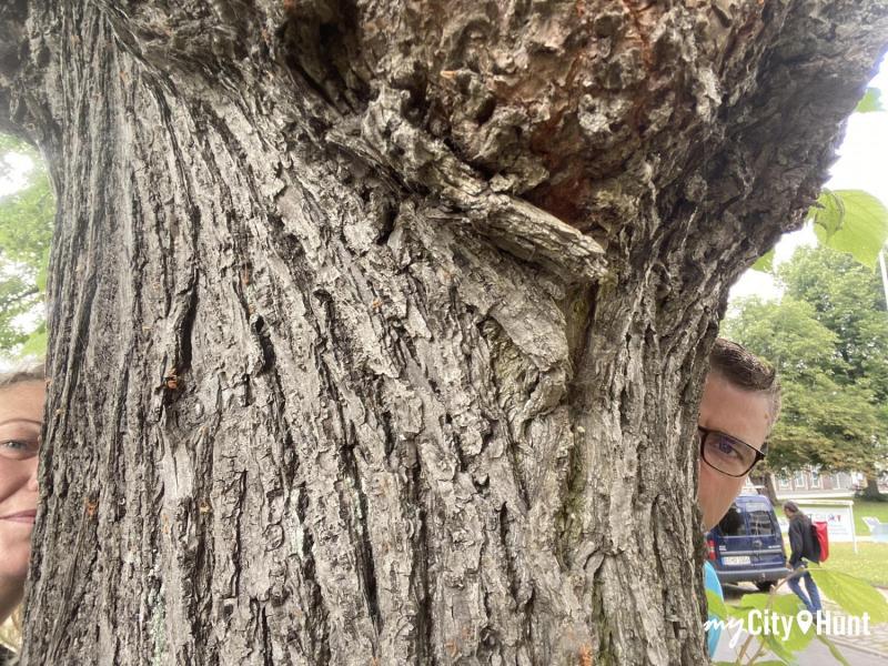 myCityHunt Scavenger Hunt 7