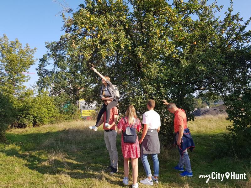 myCityHunt Scavenger Hunt 9