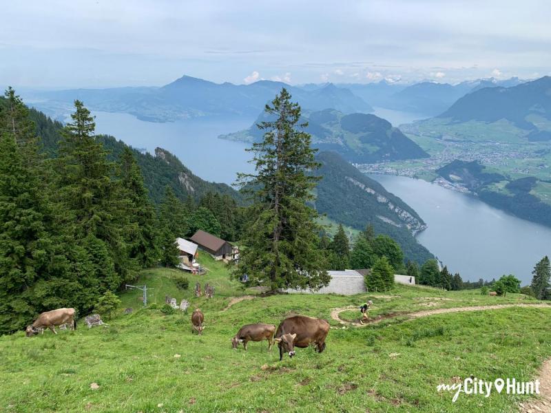 myCityHunt Scavenger Hunt 7