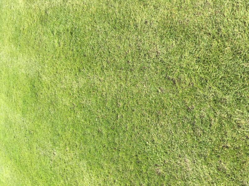 myCityHunt Scavenger Hunt 11